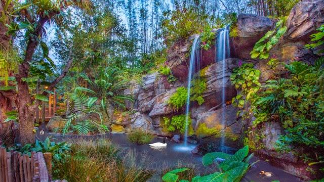 Disney's Animal Kingdom Theme Park Photo