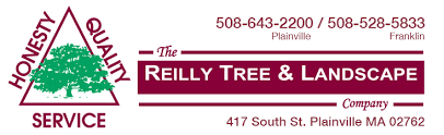 Images Reilly Tree & Landscape