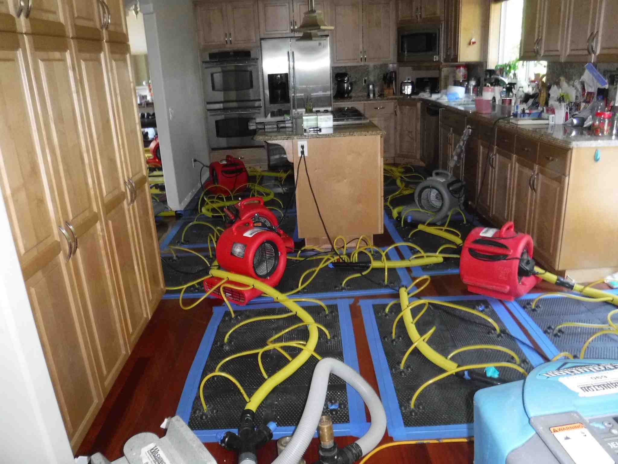 Washington Water Damage & Cleaning Services Photo