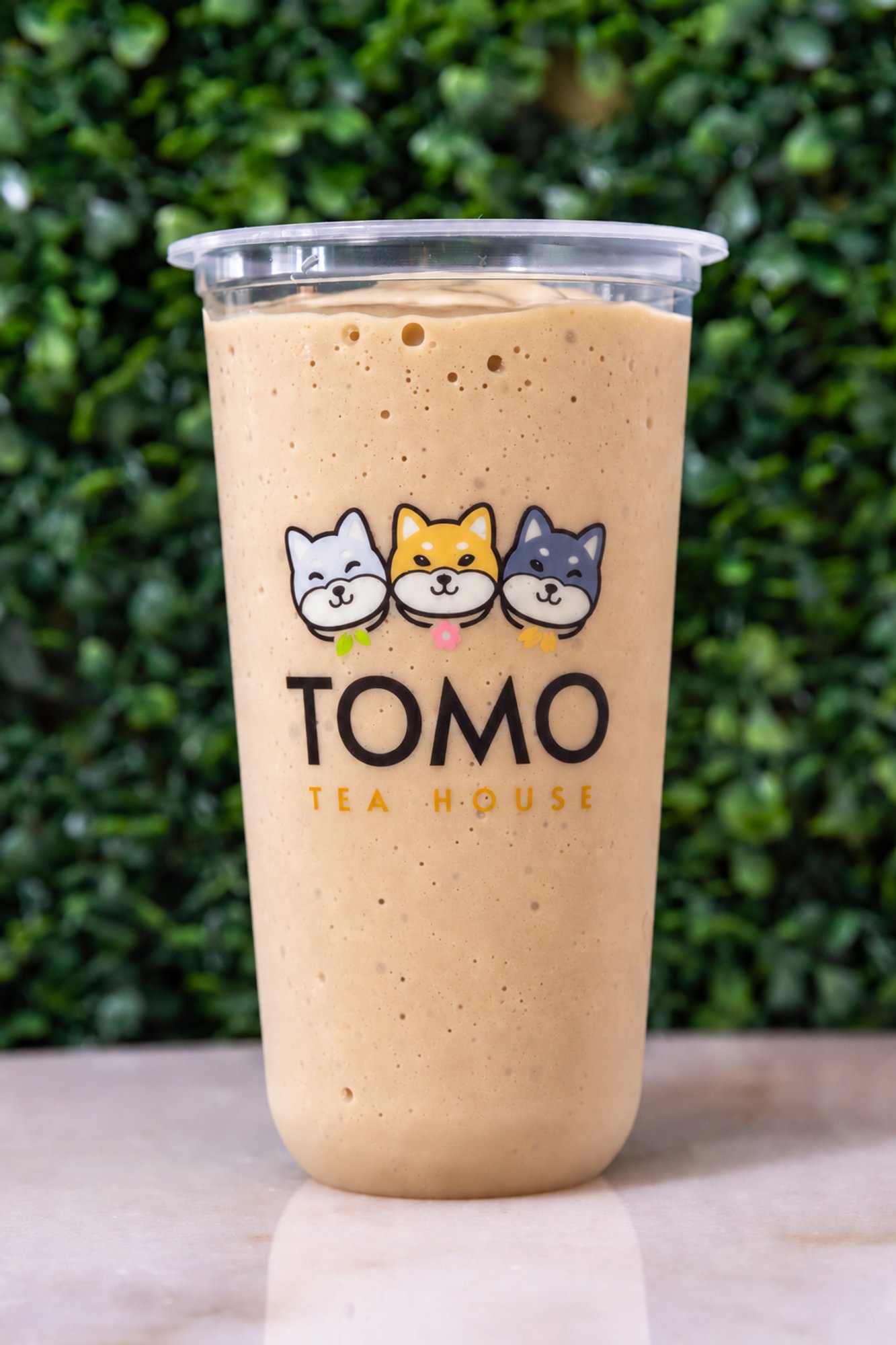 Vietnamese Coffee Protein