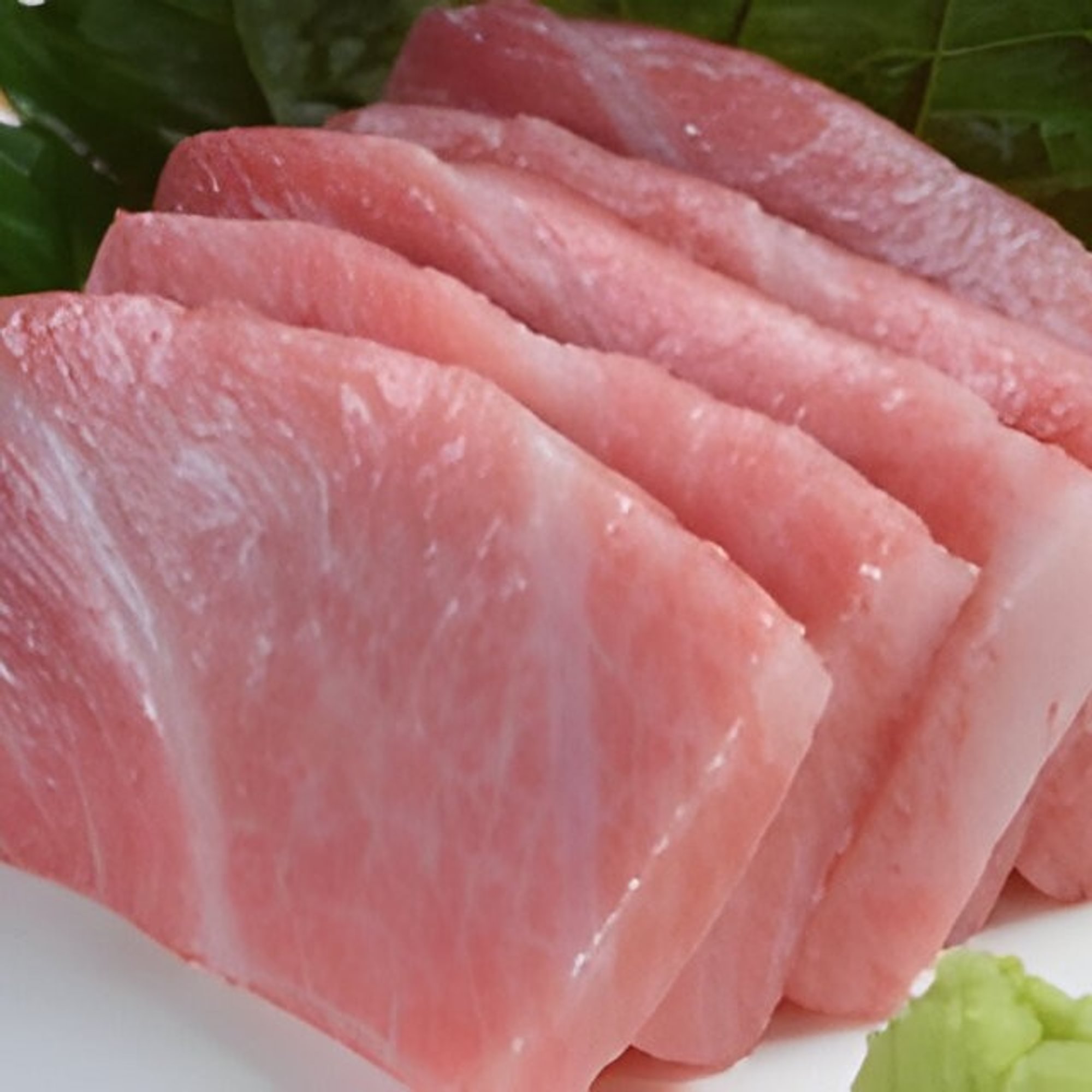 Otoro (Bluefin Belly Fattiest) Sashimi