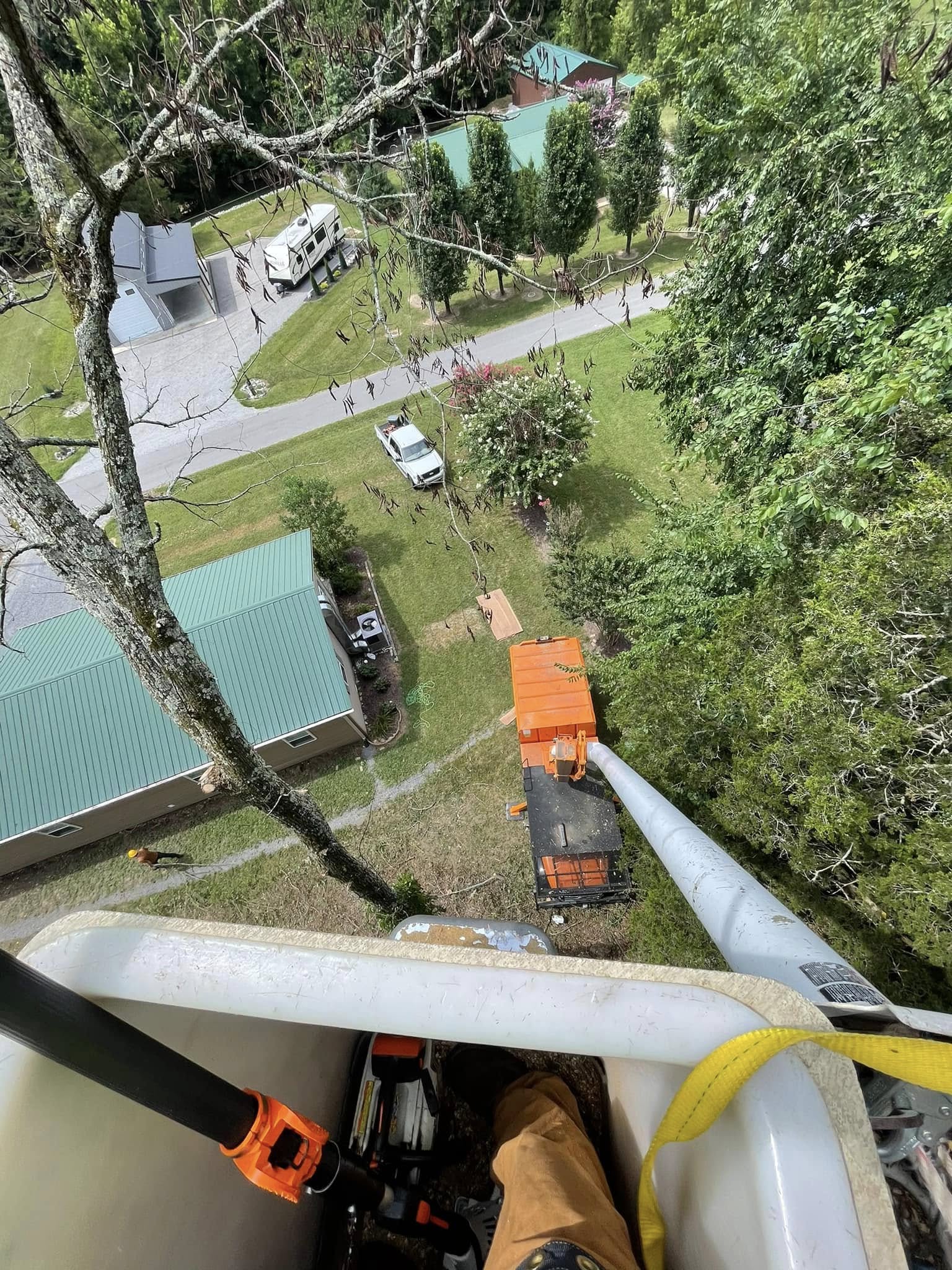 Area Tree Service LLC Image