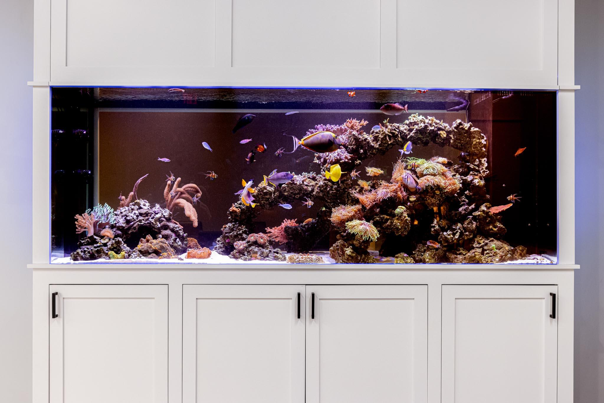 Something Fishy, Inc. Image