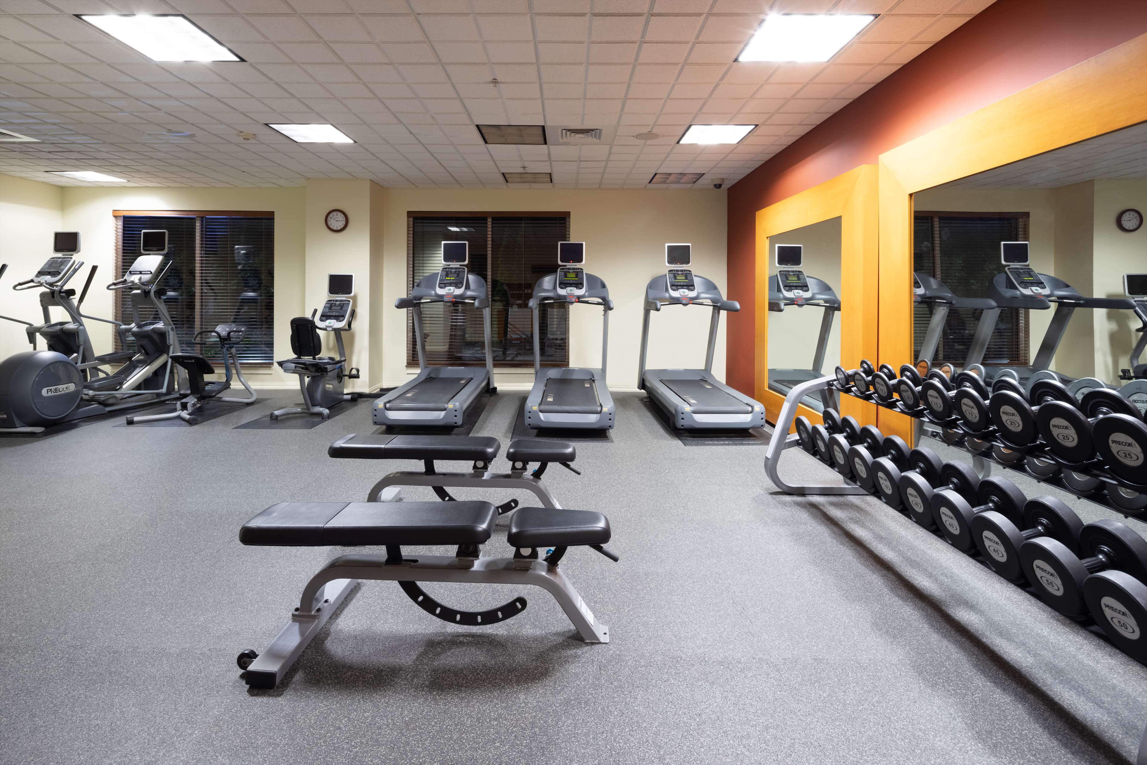 Health club  fitness center  gym