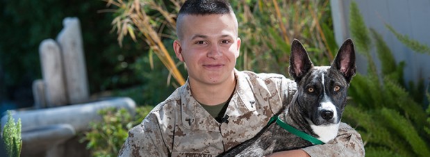 The Country Vet Photo