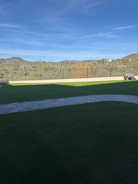 Waterloo Turf Scottsdale Image