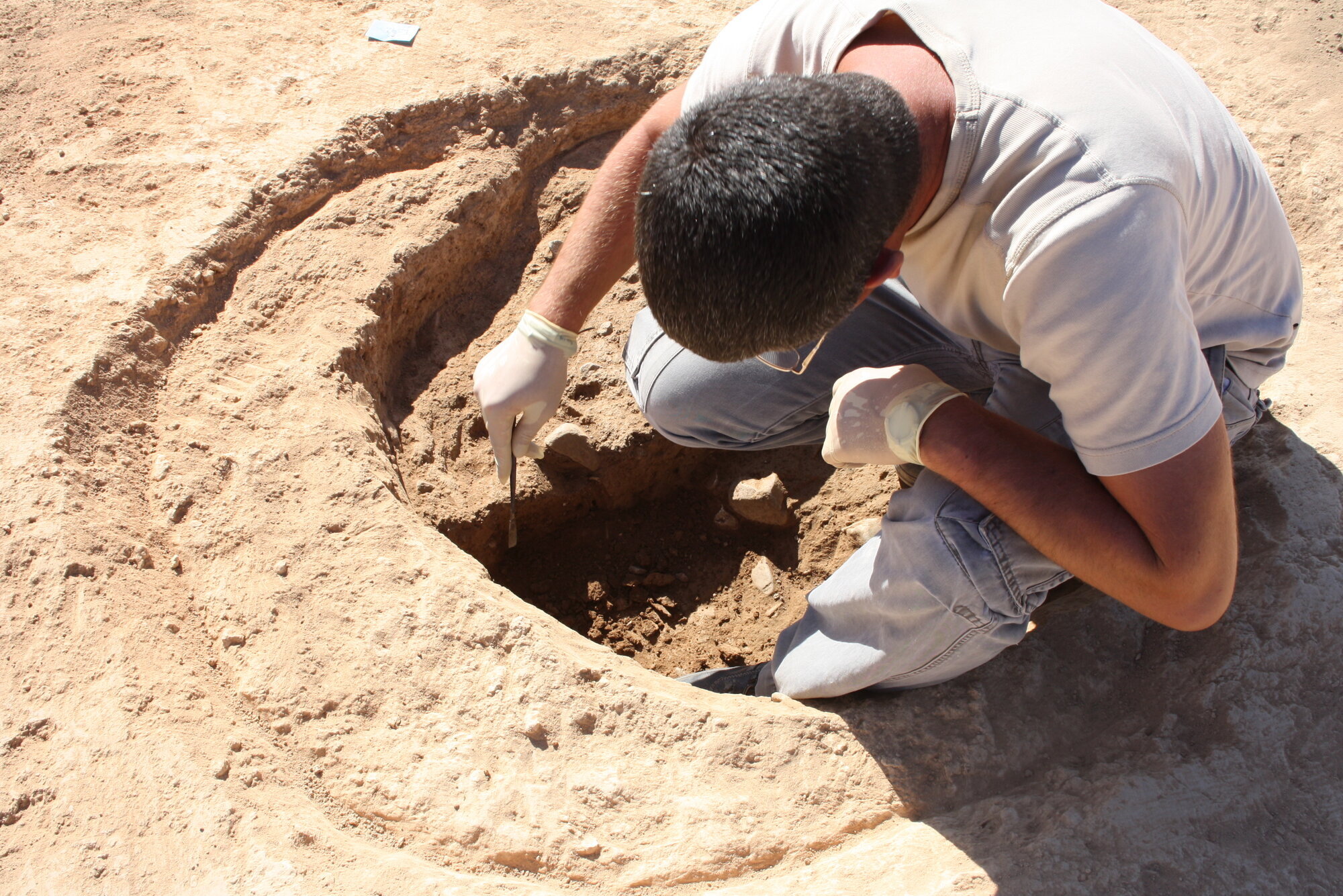 Galería en miniatura