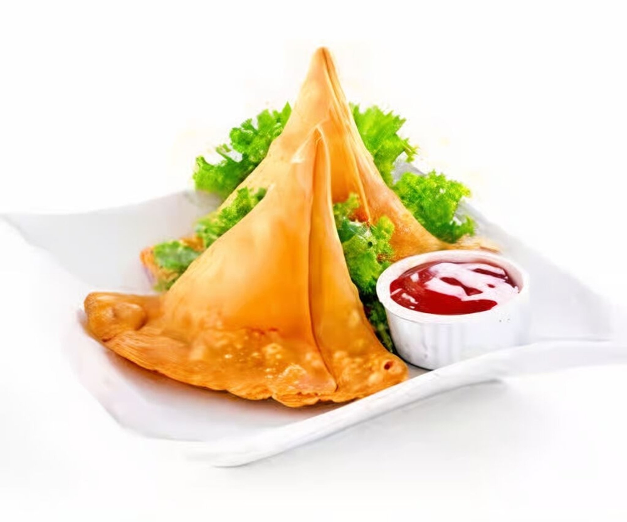 Vegetable Samosa