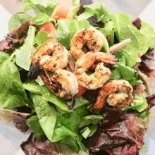 Grilled Shrimp Salad