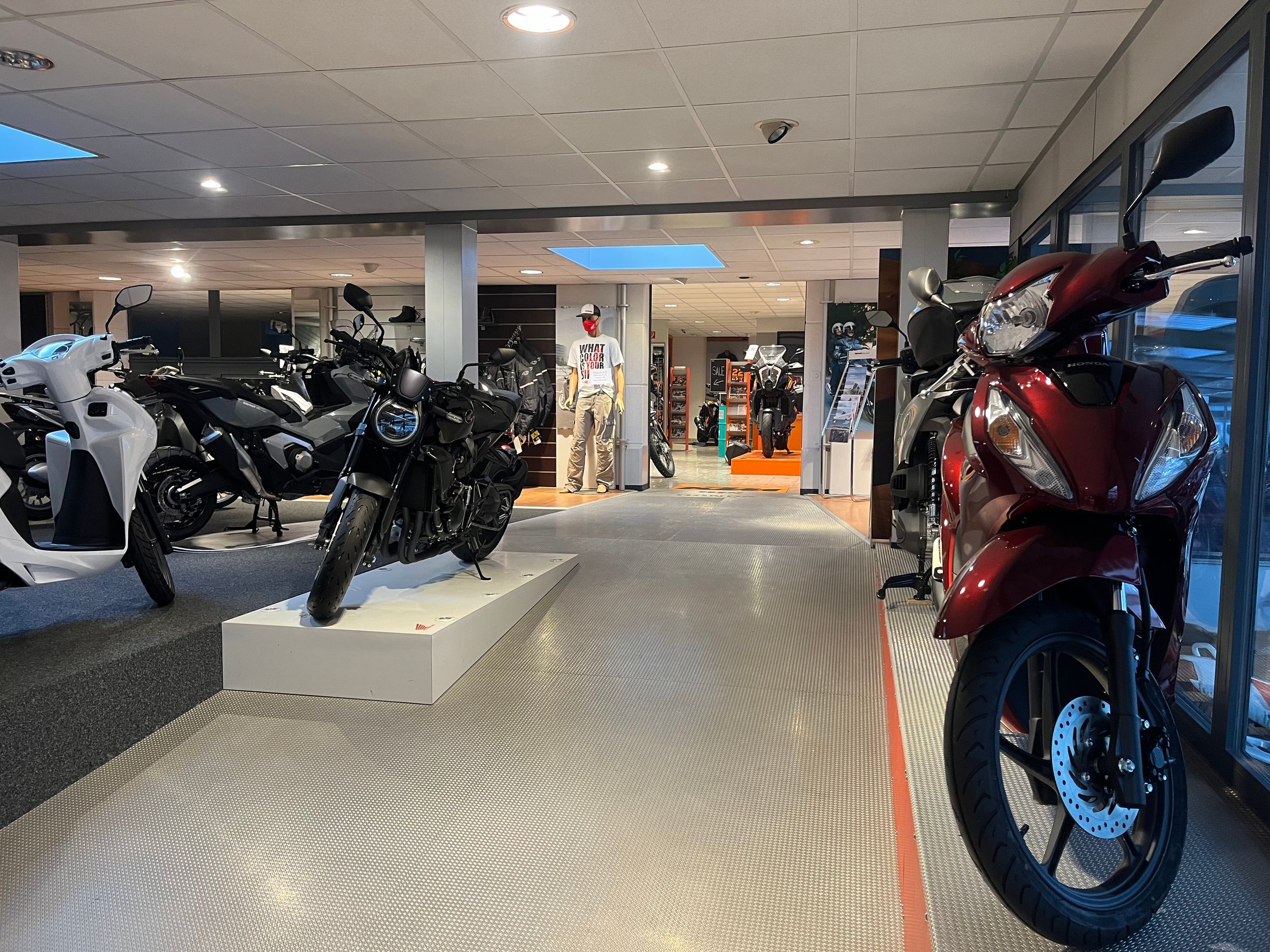 Galerie-Thumbnail
