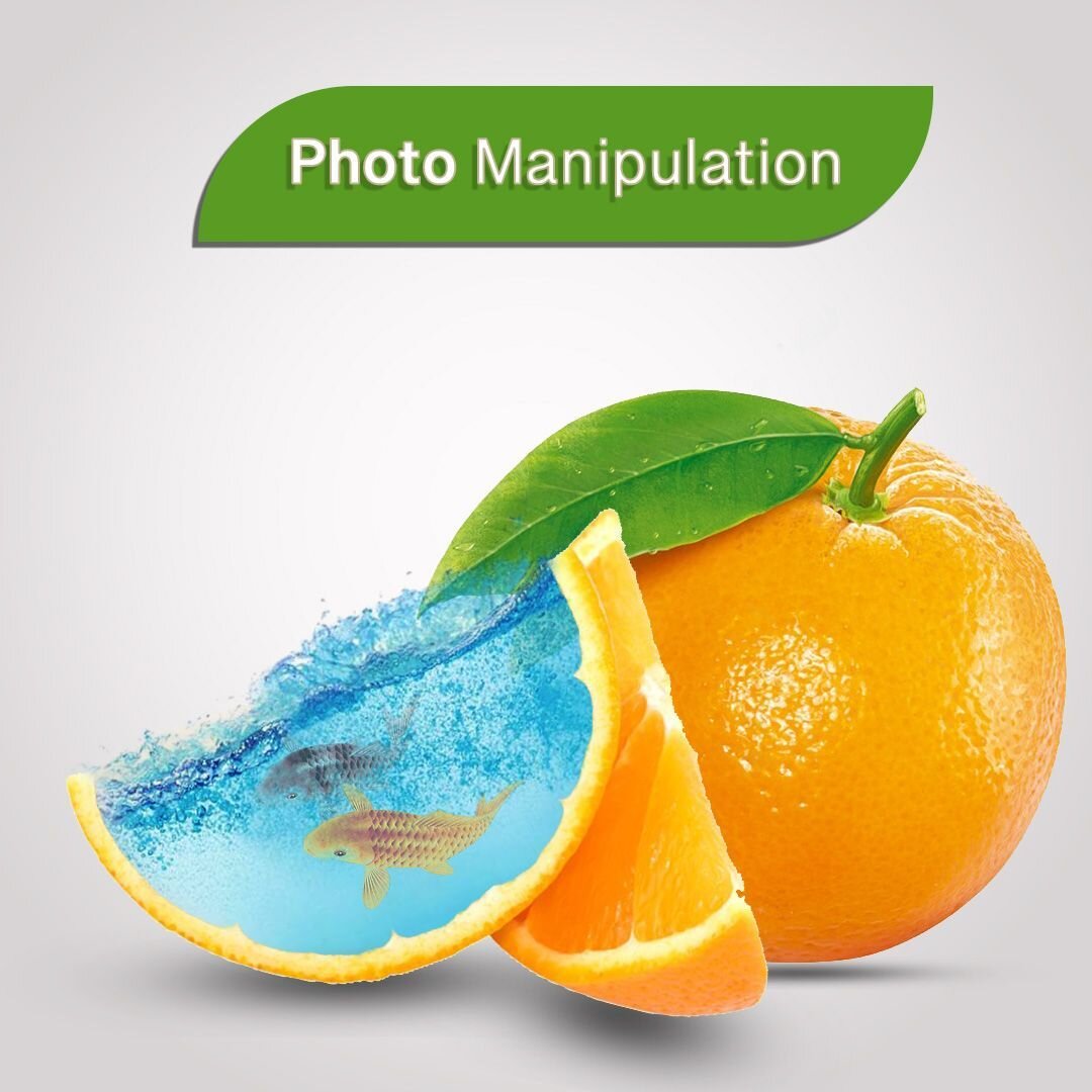 Z GRAPHICS L.L.C. Image