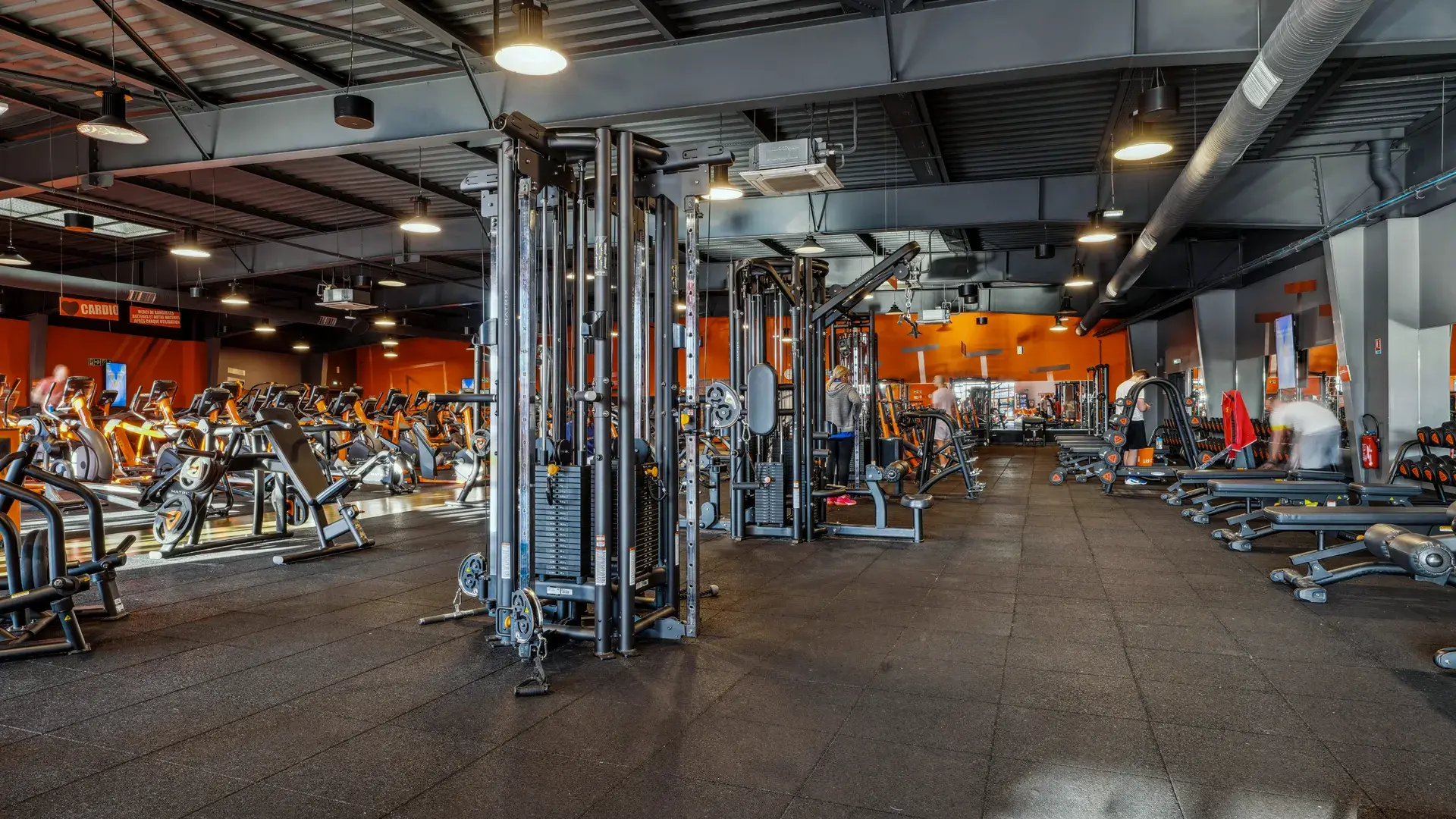 Miniature de la galerie