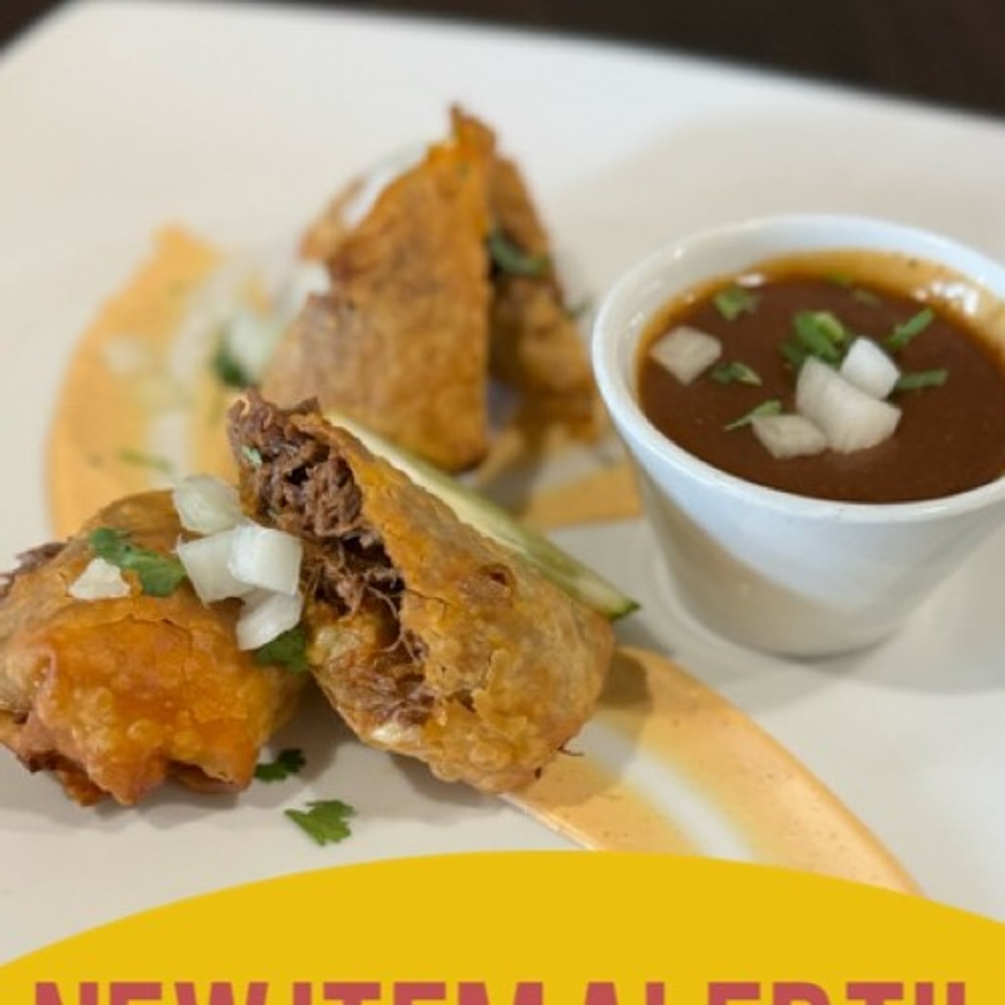 Birria Eggrolls