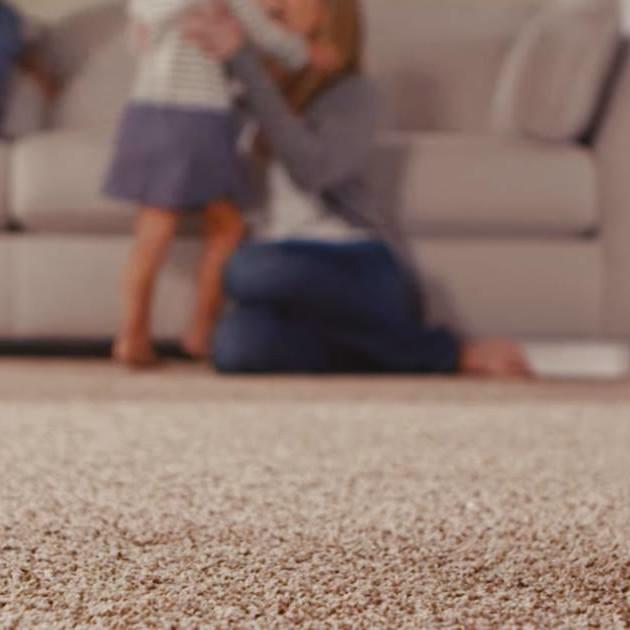Legacy Carpet Cleaning Logo
