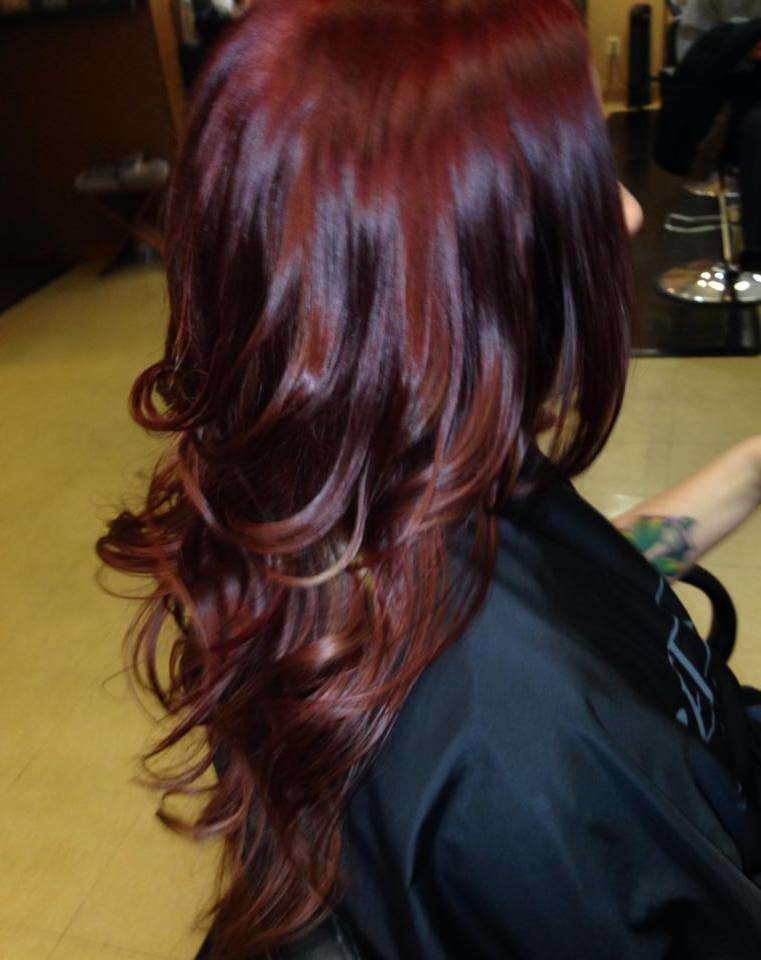 Ray of Light "The Art of Hair & Color" Image