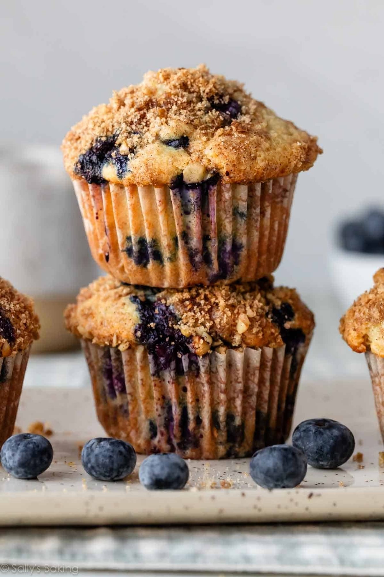 Blueberry Protein Muffin