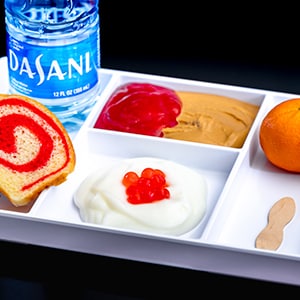 Gluten/Wheat Allergy-Friendly Disney Check Meal - PB&J Flavor Lab