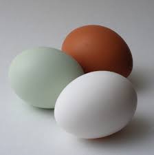 Egg Cleaners