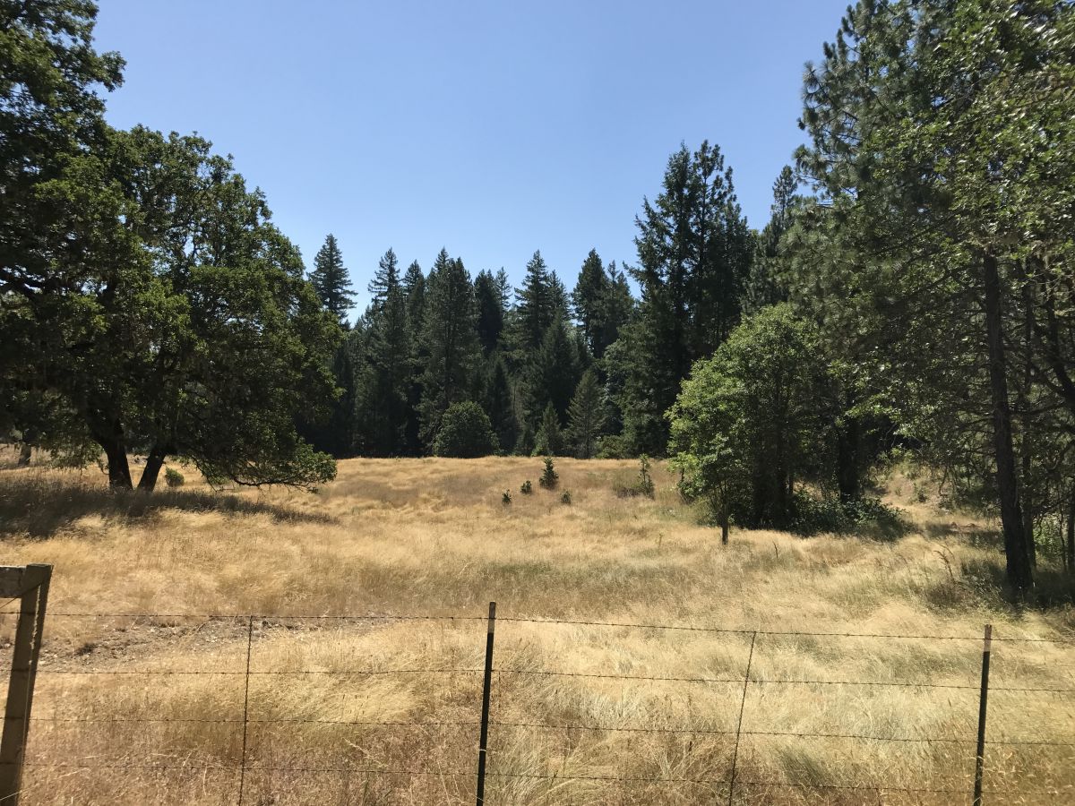 Buyers & Sellers Of Ranches