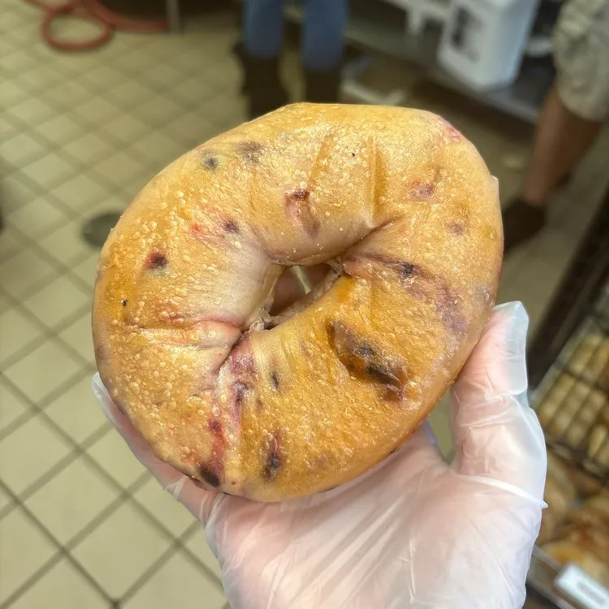 Blueberry Bagel