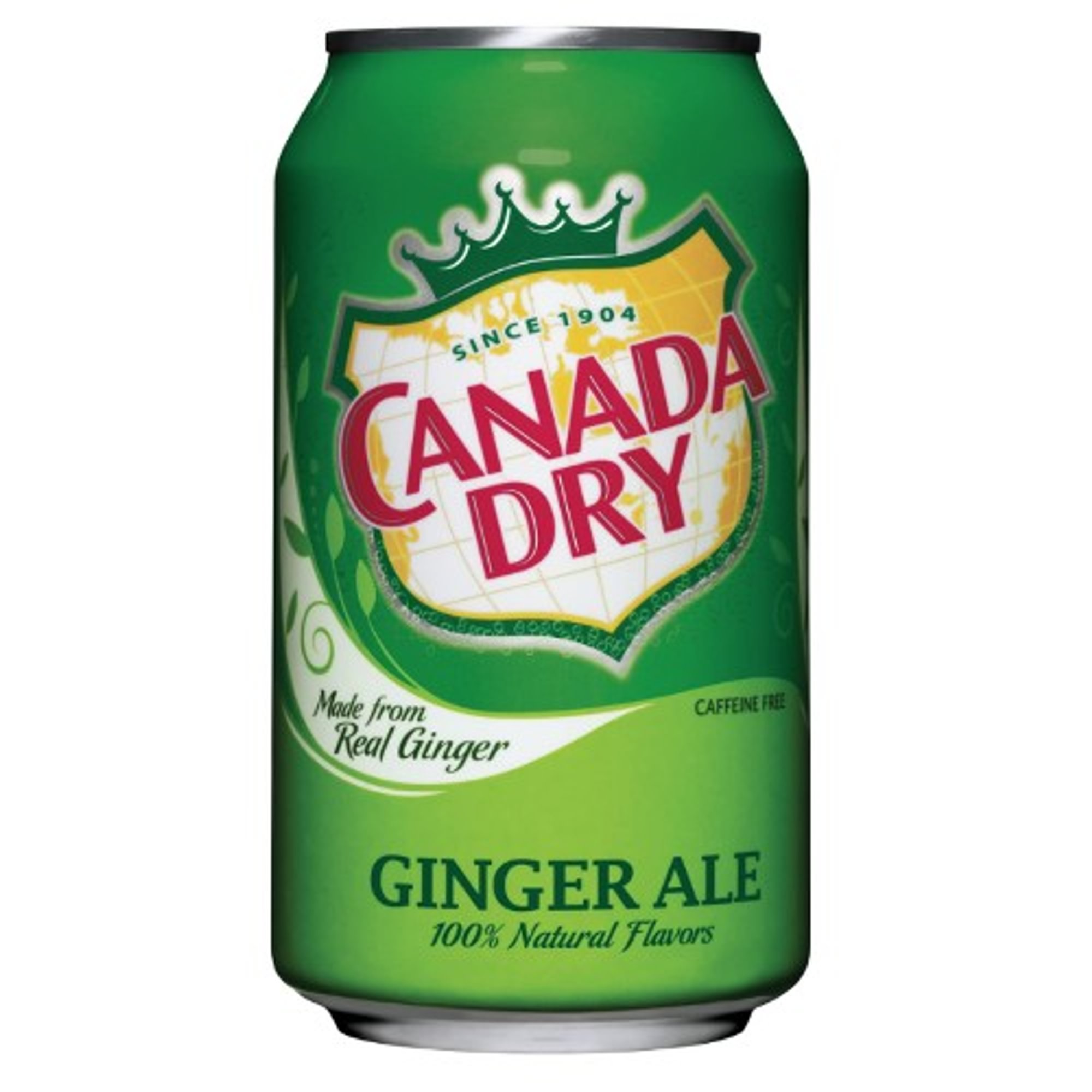 Ginger Ale 12 Oz