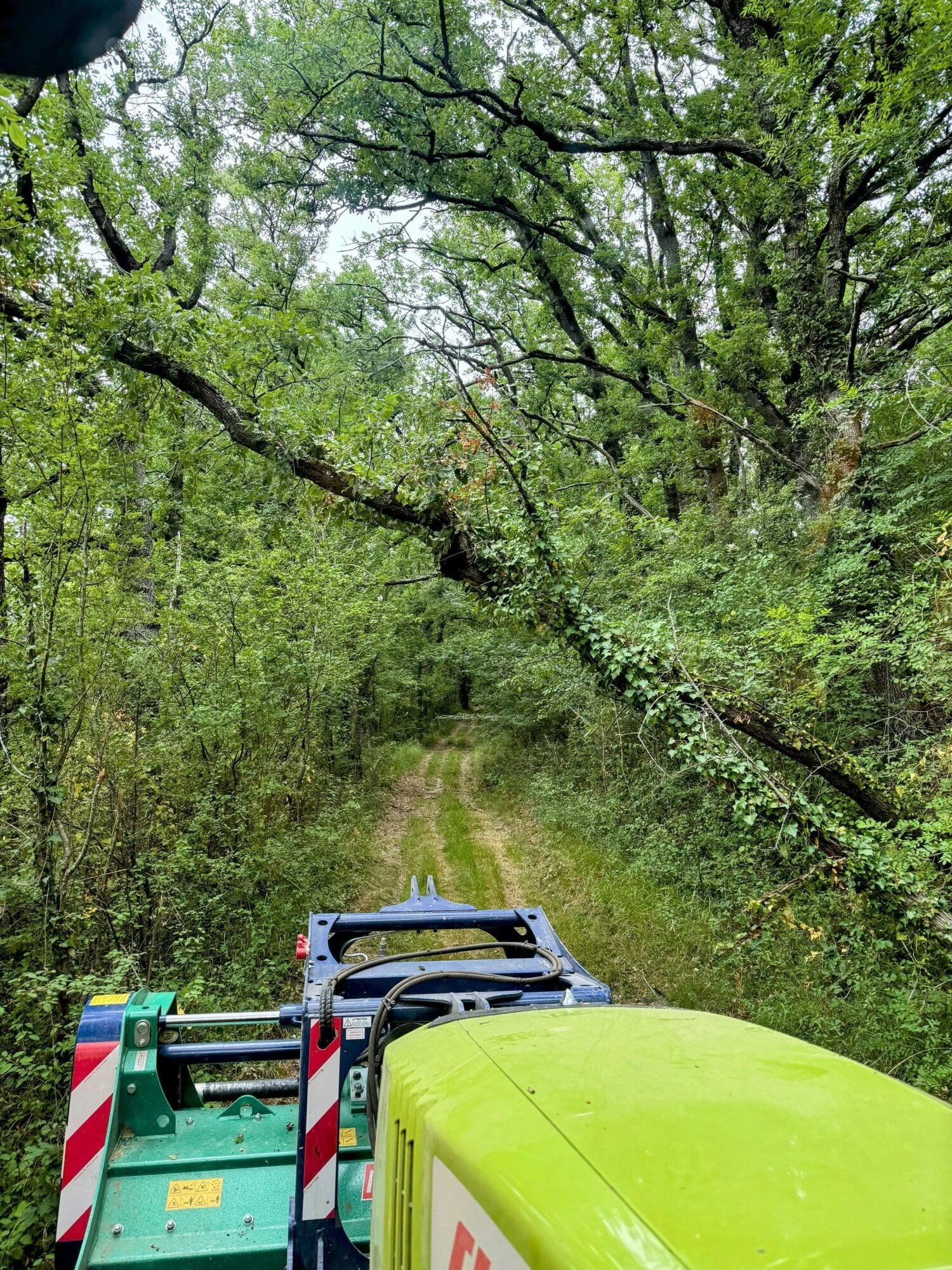 Miniature de la galerie