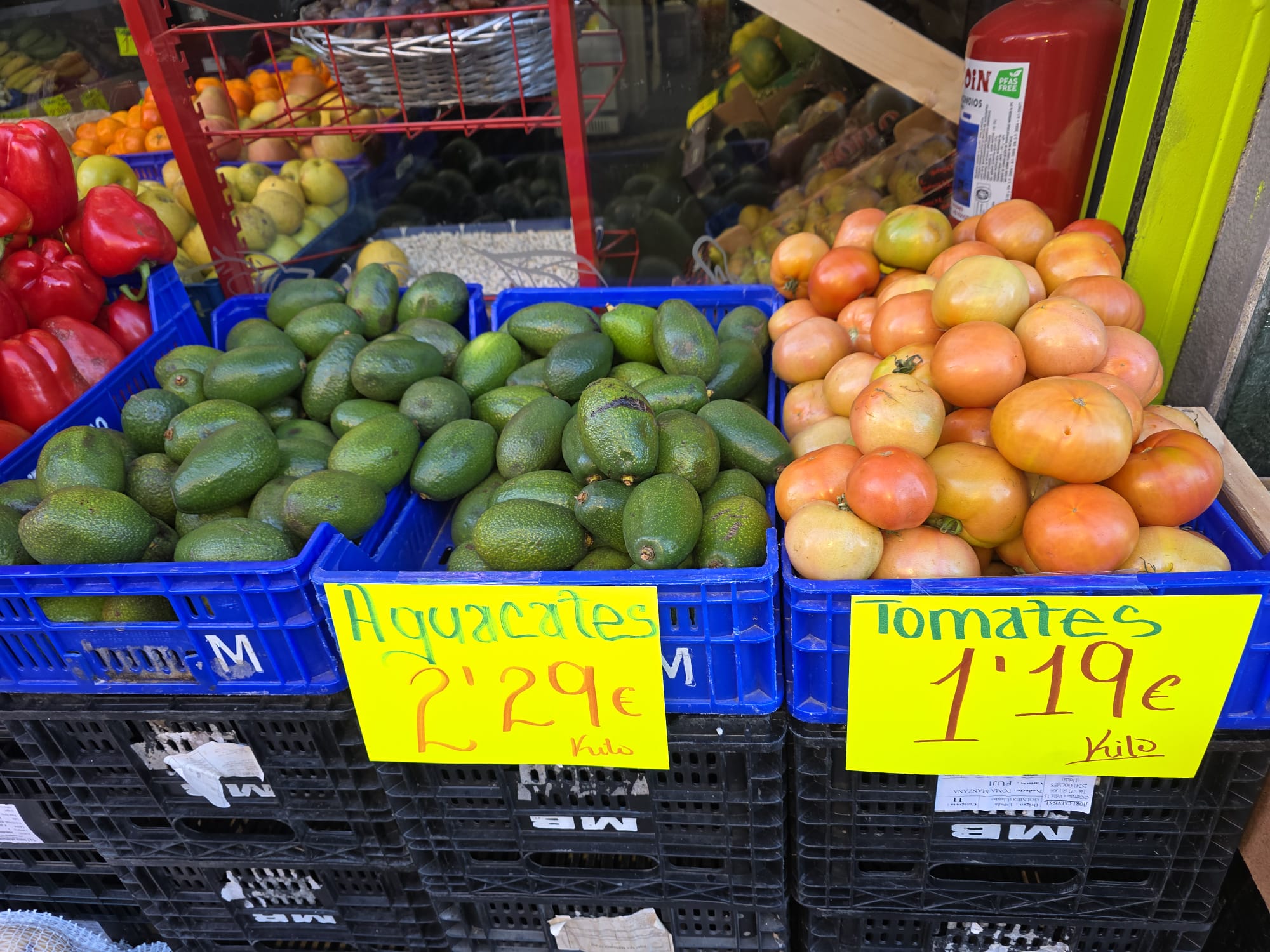 Galería en miniatura