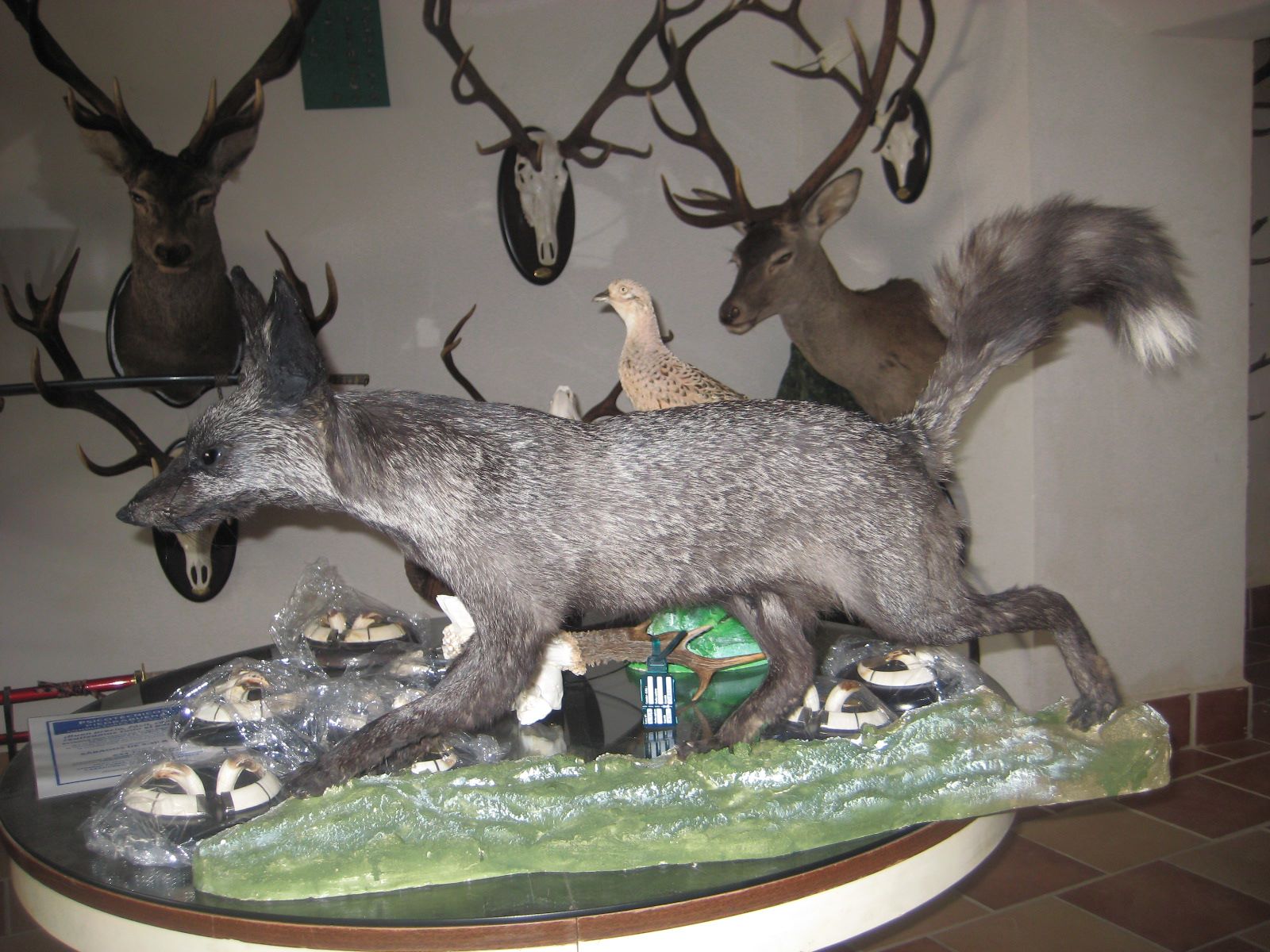 Galería en miniatura
