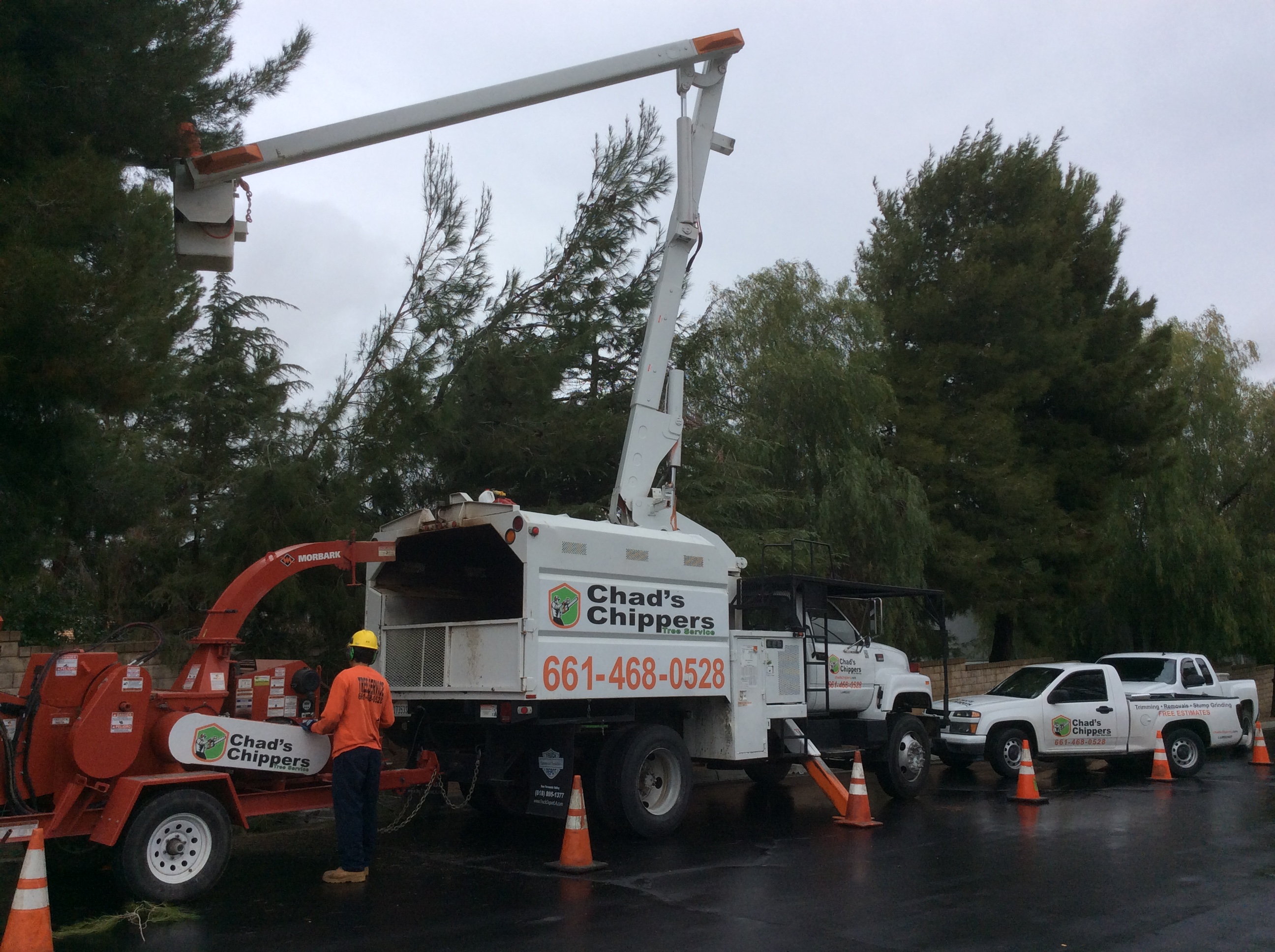 Chads Chippers Tree Service Photo