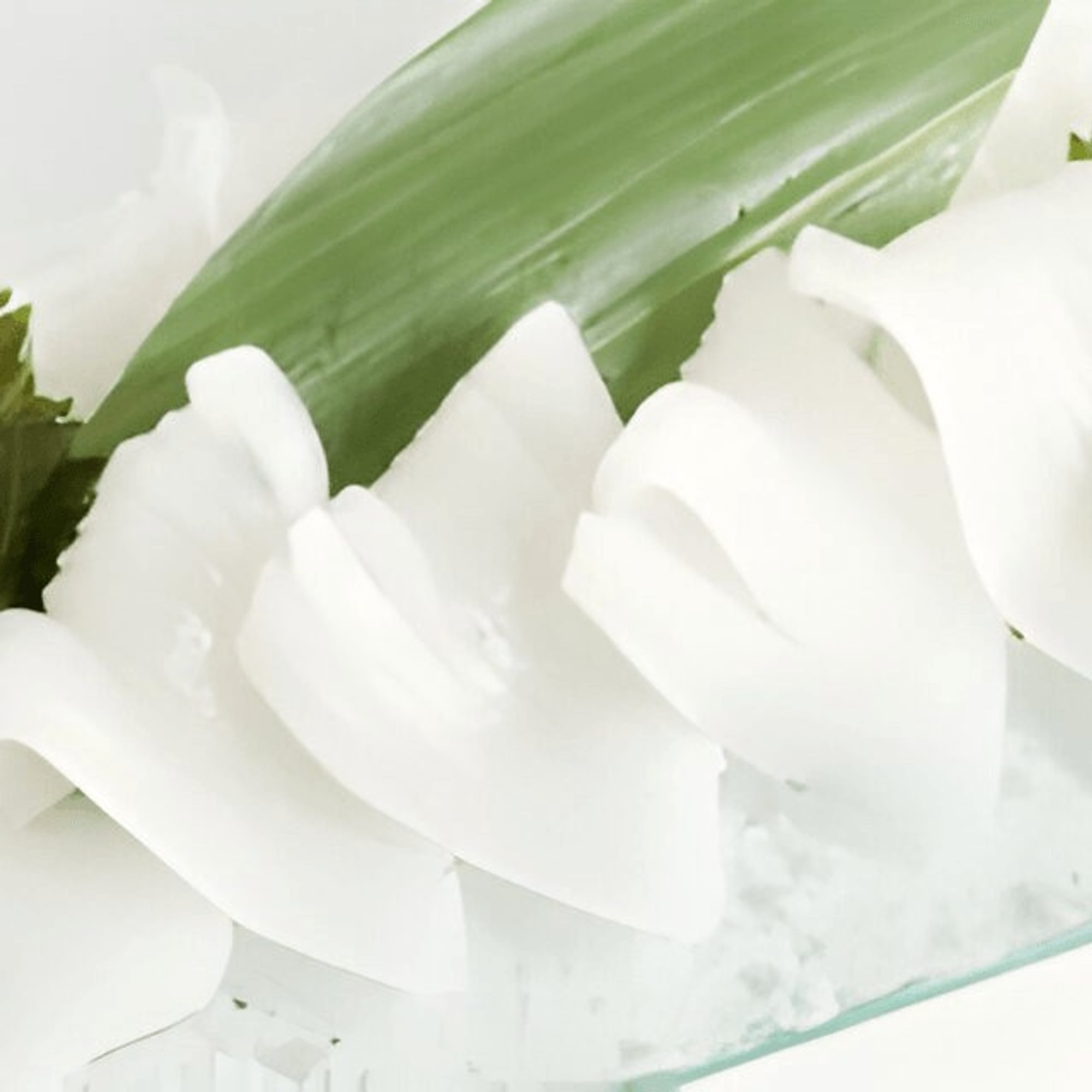 Squid / Ika Sashimi (5pcs)