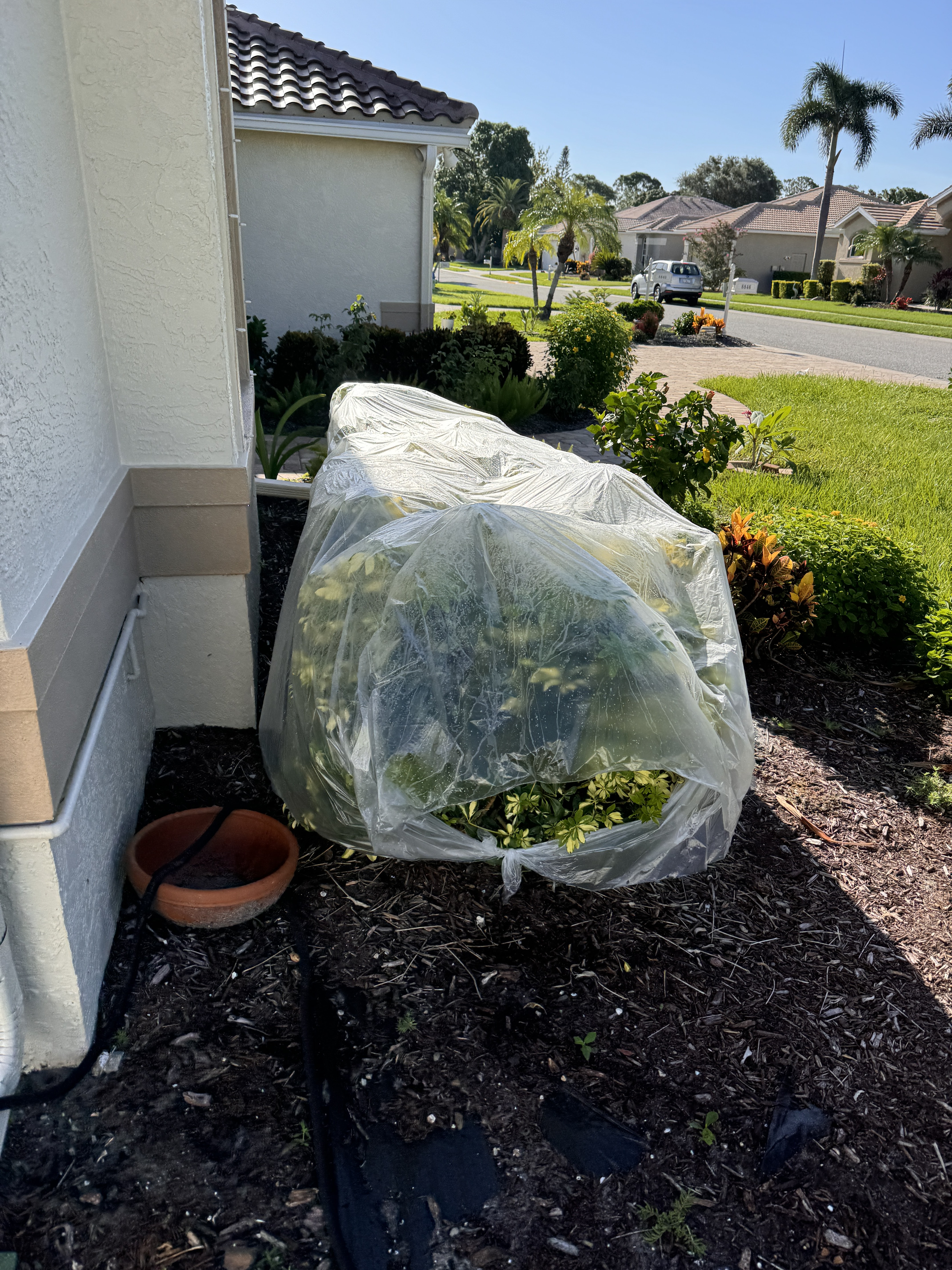 Window Hero Sarasota Image