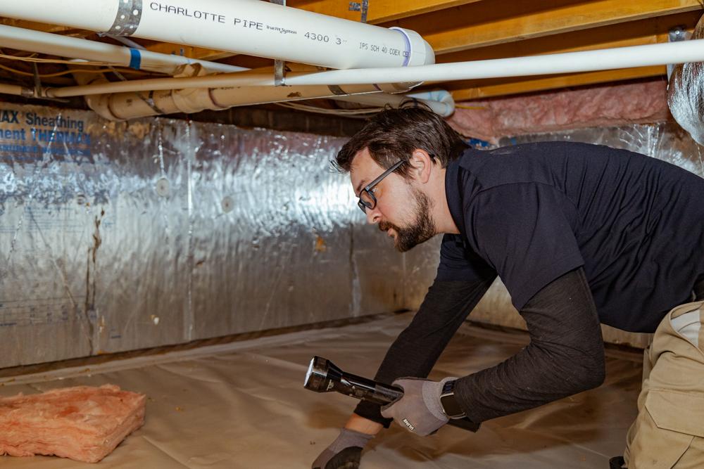 Pest & Termite Consultants Image