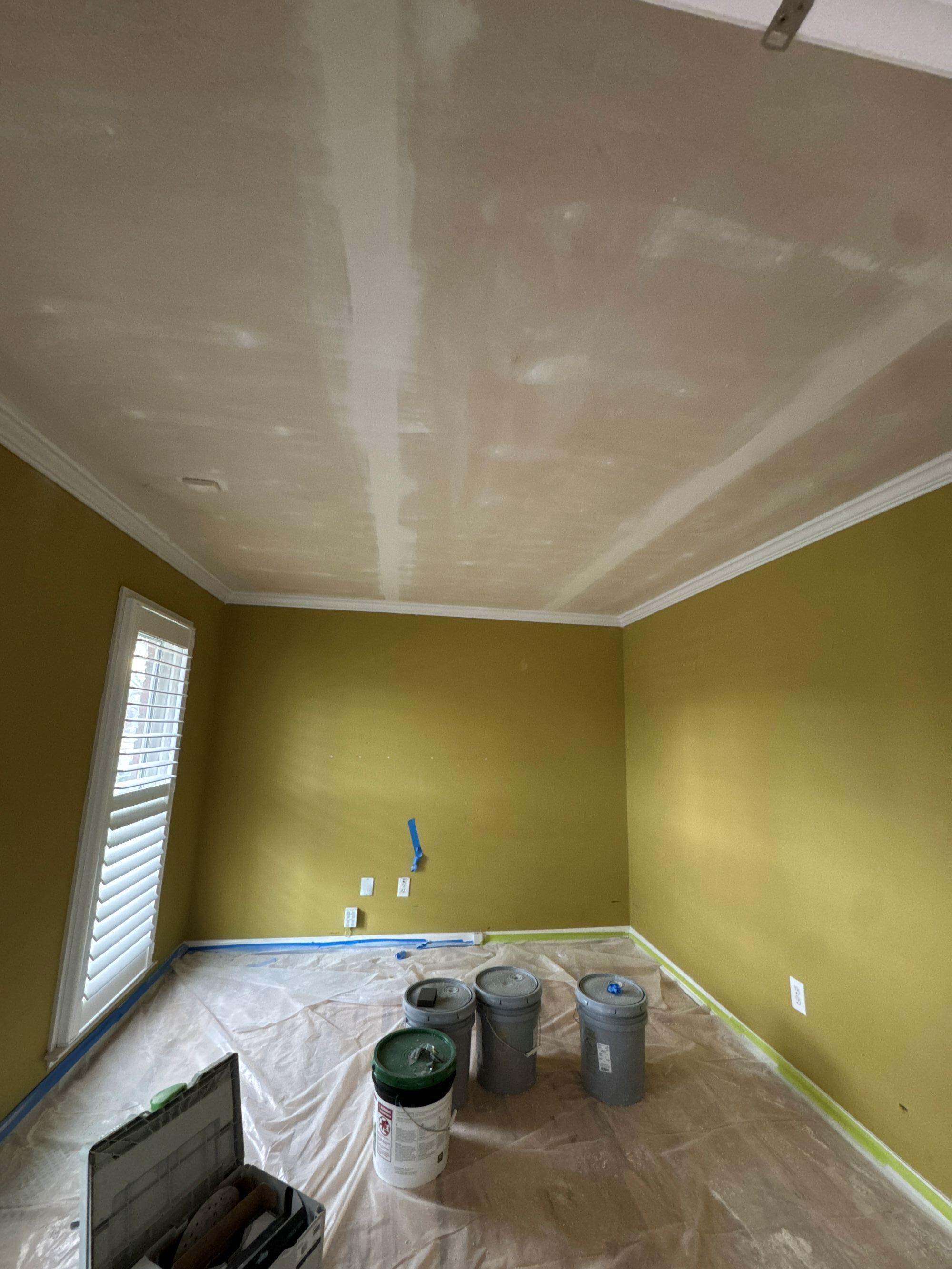 Blue Jay Painting Image