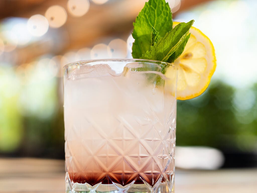 BLACKBERRY BRAMBLE