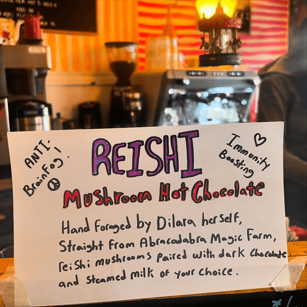 Reishi Hot Chocolate