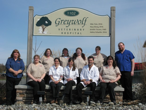 Greywolf Vet Hospital Image
