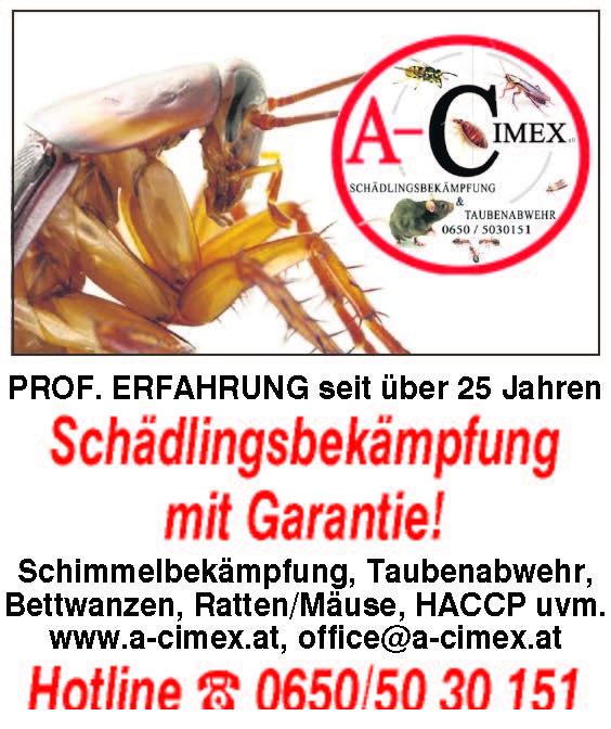 Bilder A-cimex e.U. Schädlingsbekämpfung & Taubenabwehr