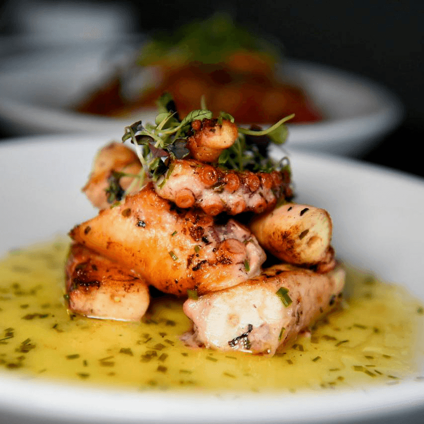 Grilled Octopus