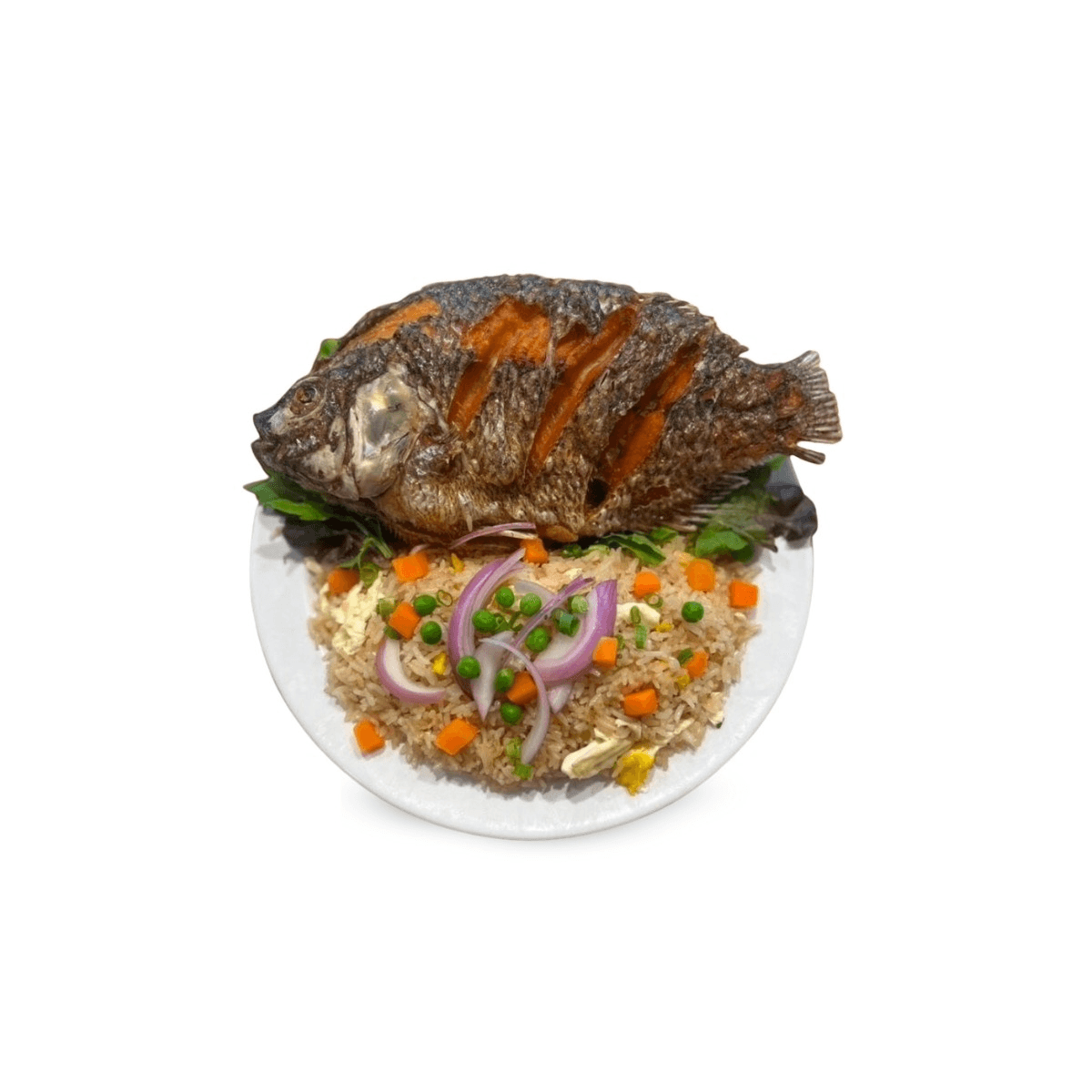 Tilapia