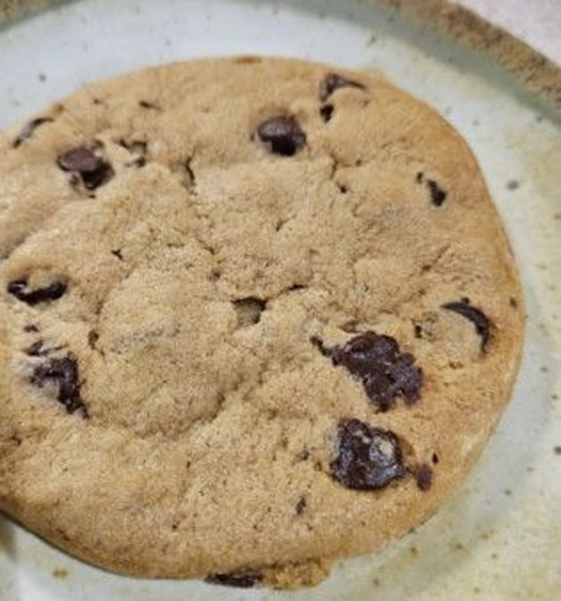 Chocolate Chip Cookie