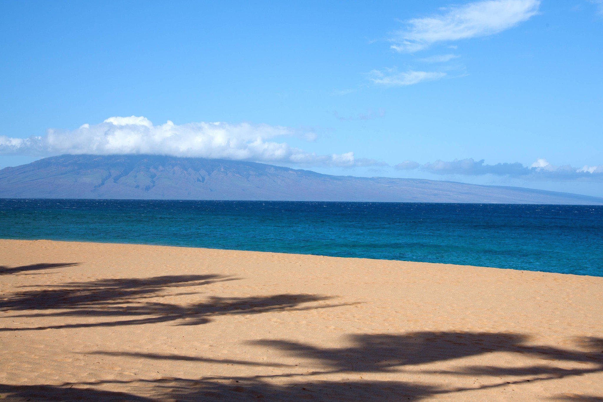 The Westin Maui Resort & Spa, Ka'anapali Photo