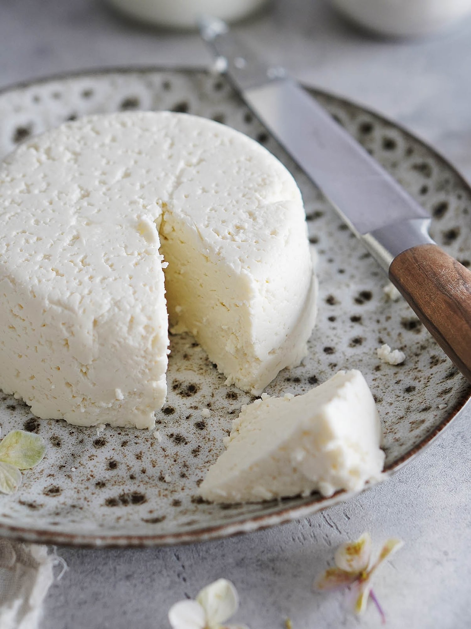 Fresh Cheese