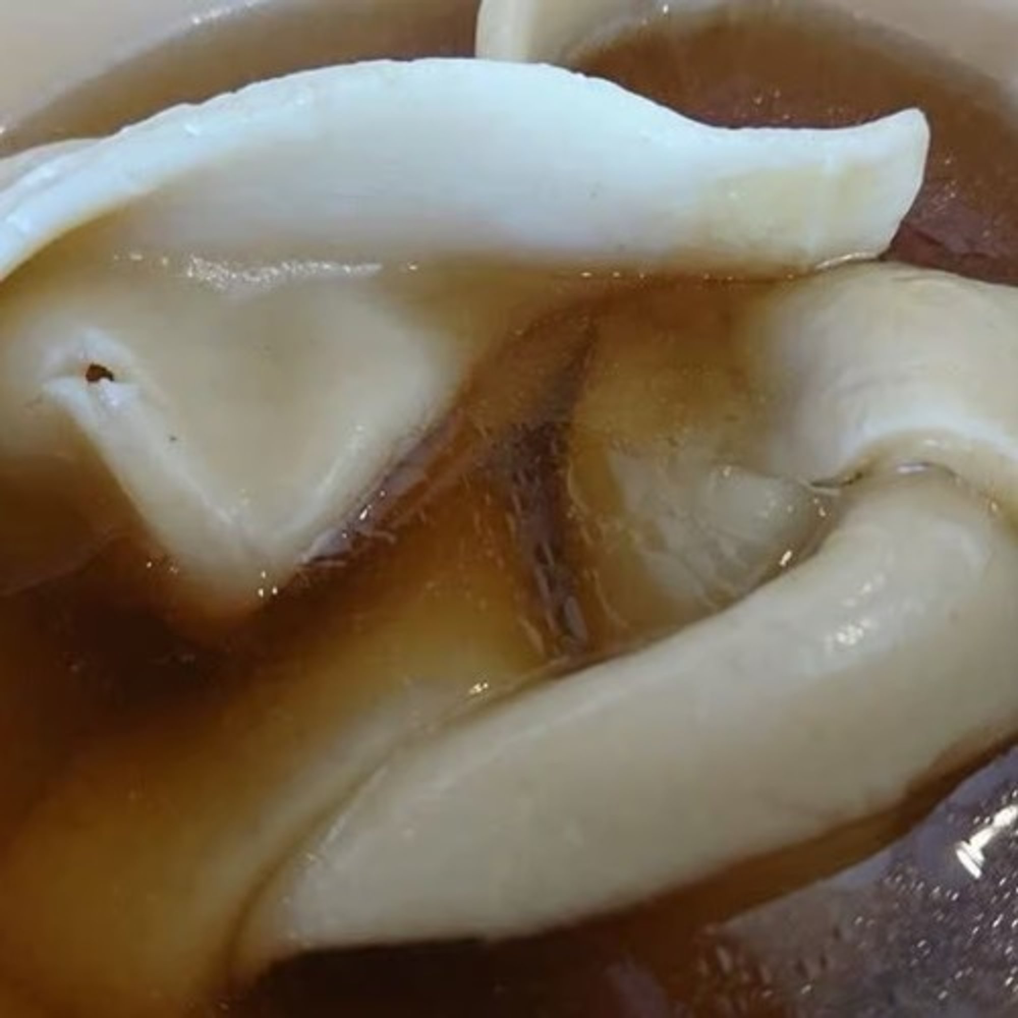 Wonton Soup