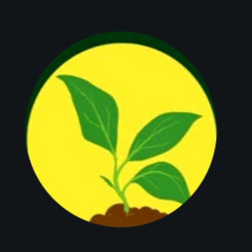 Chattanooga Landscaping Pros