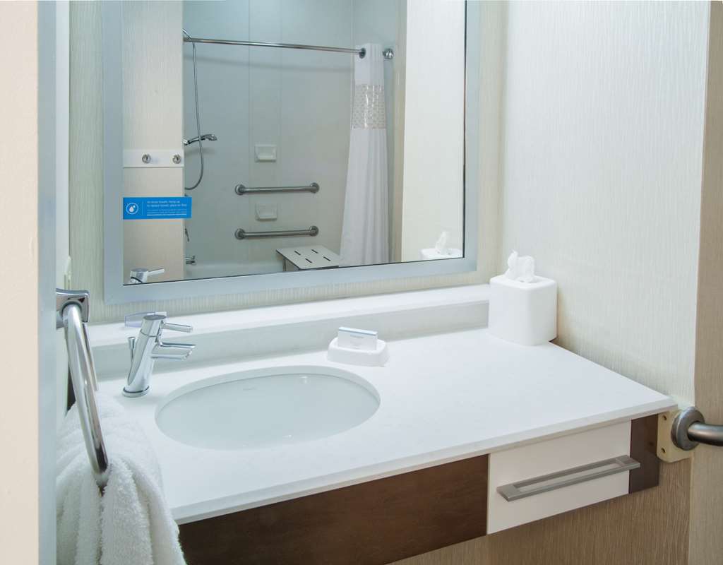 Hampton Inn South Haven Image