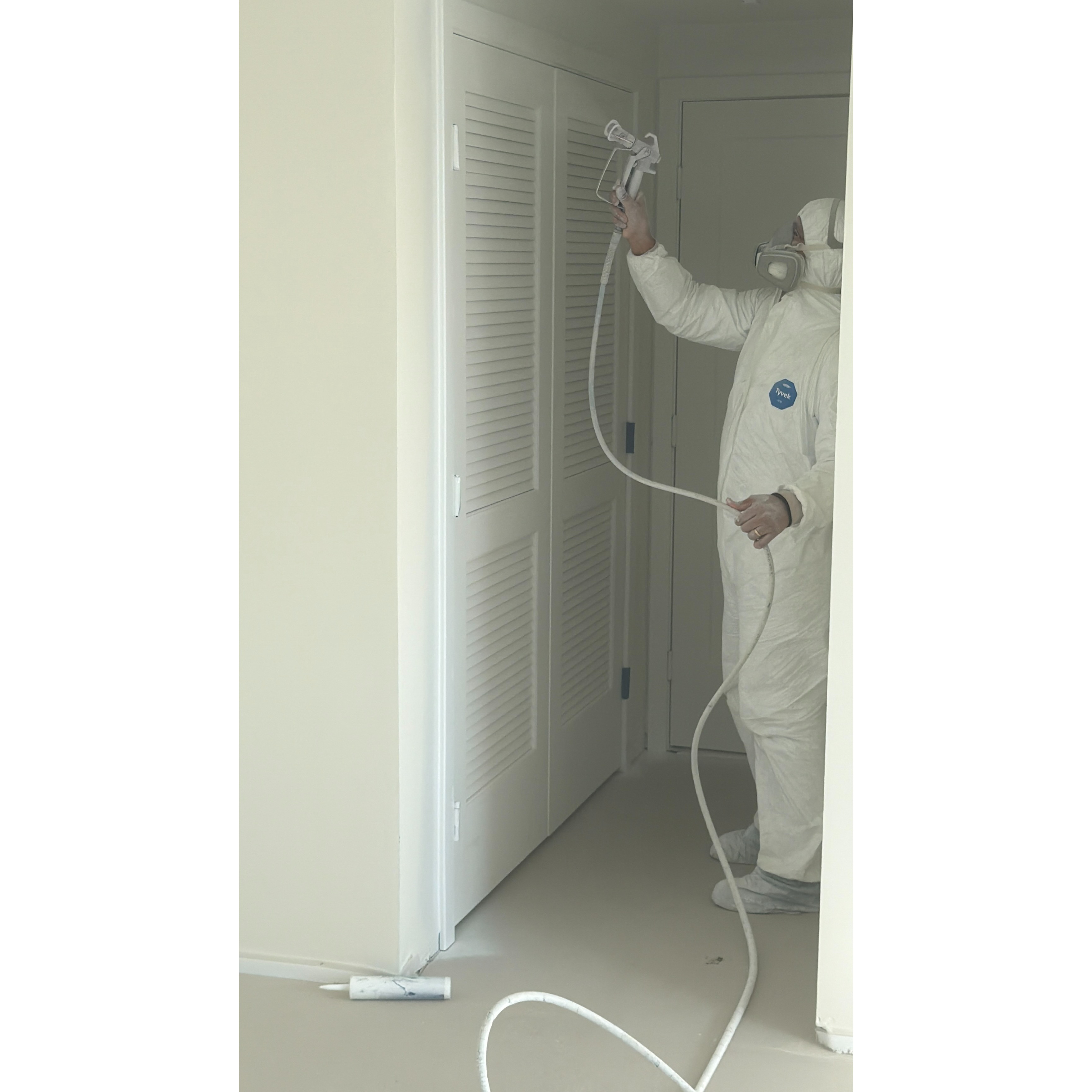 MV Pro Painting Image