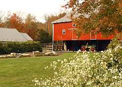 Queen Of The Valley Farm a Pet Resort Photo