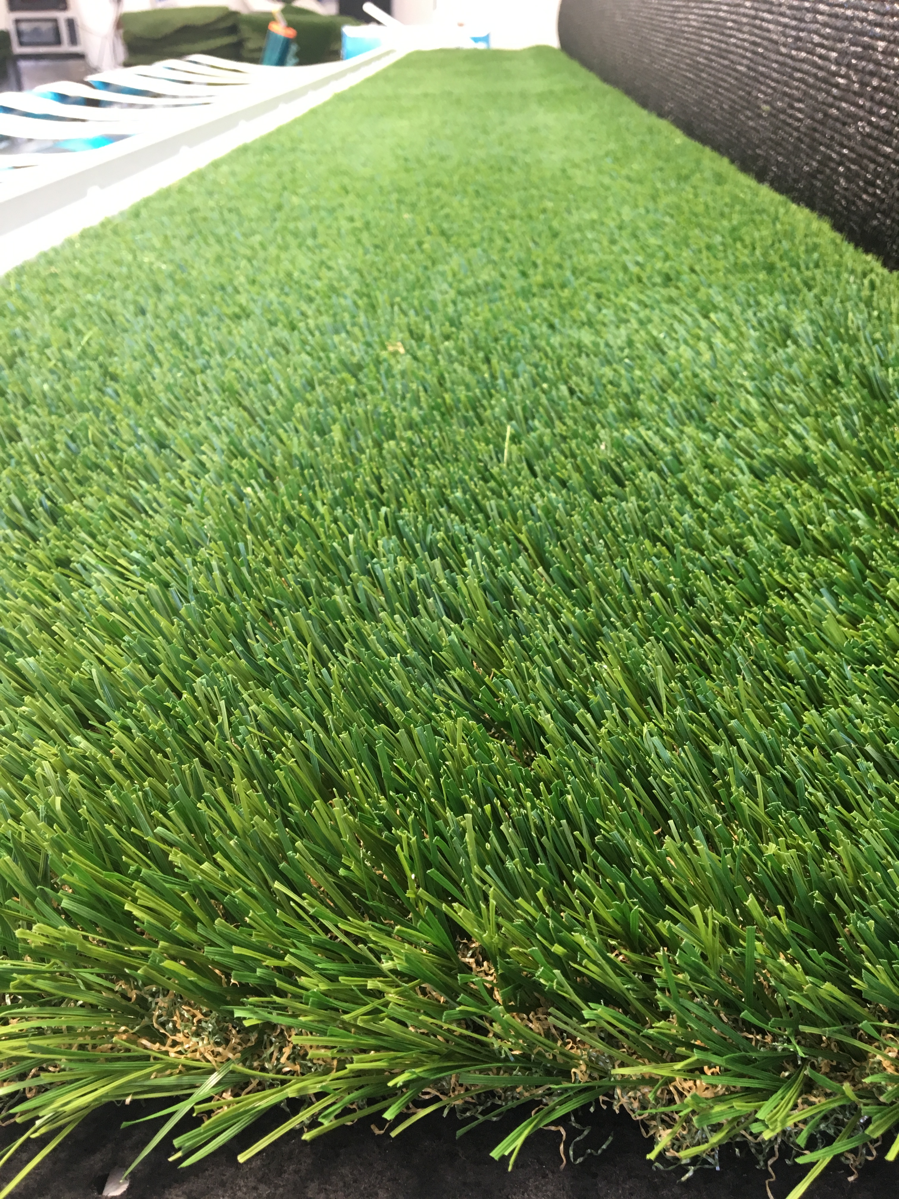 Pacific Synthetic Grass Photo