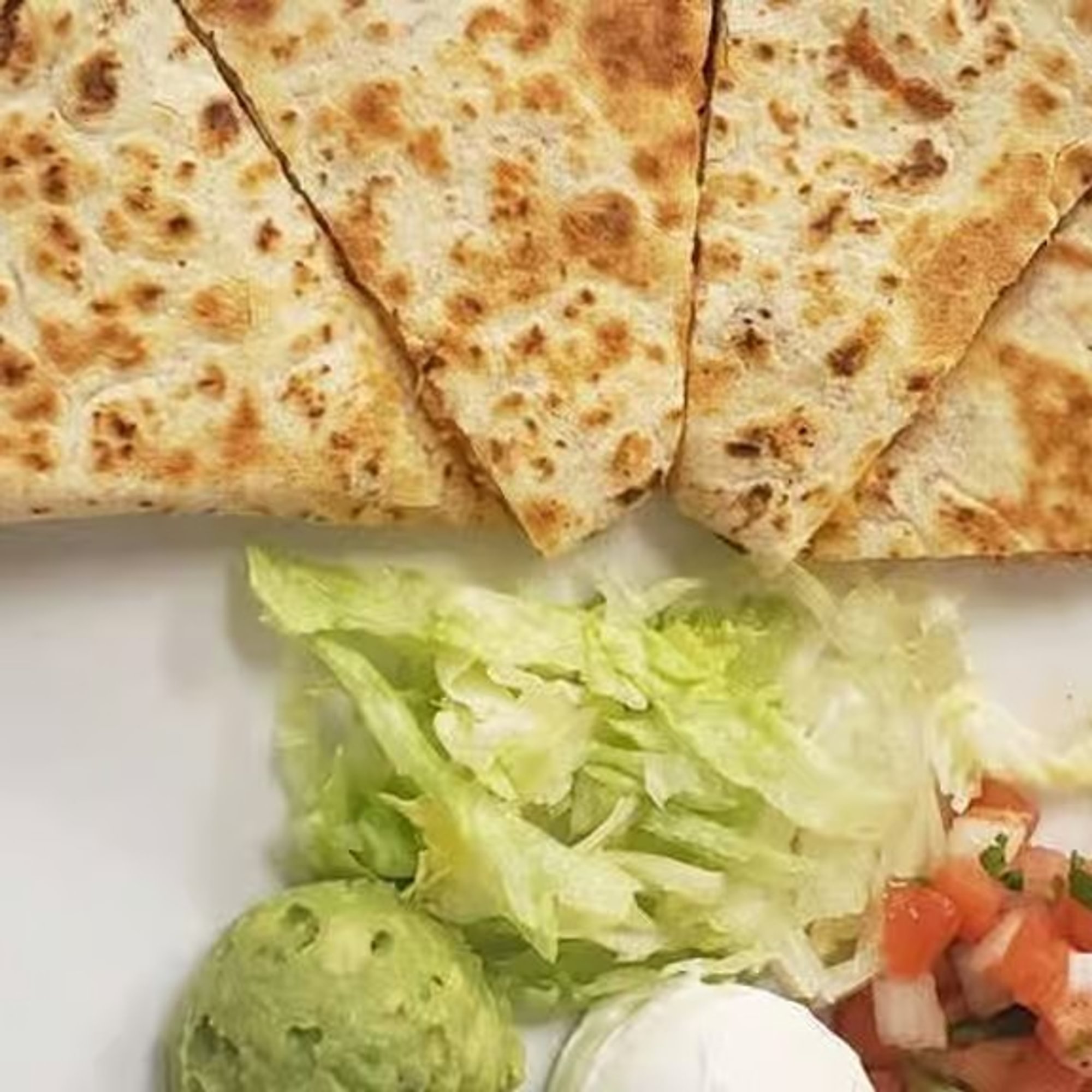 Cheesy Quesadilla