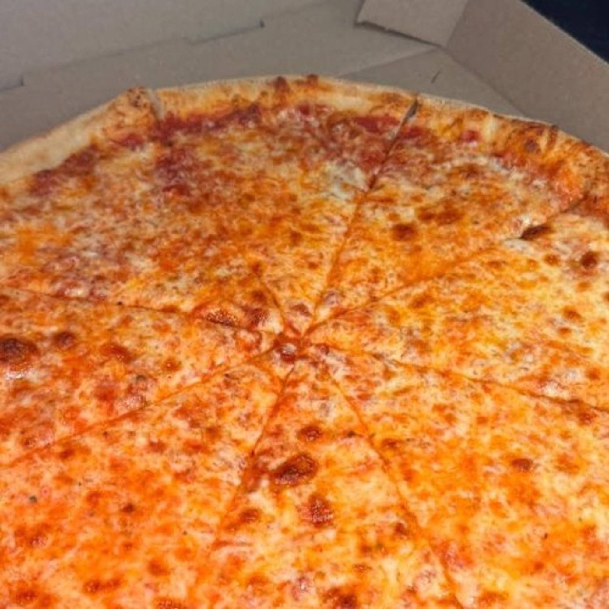 Two Large Plain Pies